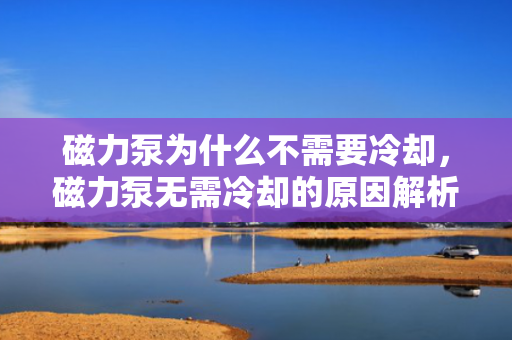 磁力泵为什么不需要冷却，磁力泵无需冷却的原因解析