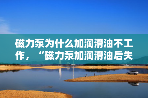 磁力泵为什么加润滑油不工作，“磁力泵加润滑油后失效原因解析”