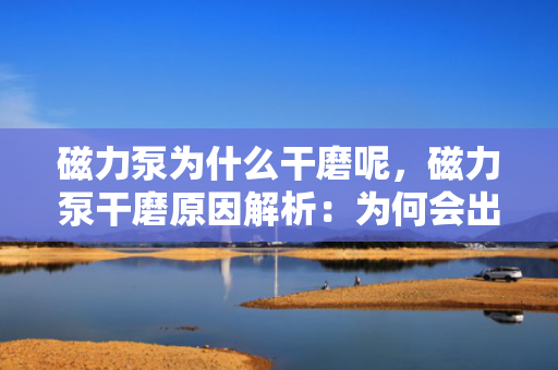磁力泵为什么干磨呢，磁力泵干磨原因解析：为何会出现干磨现象？