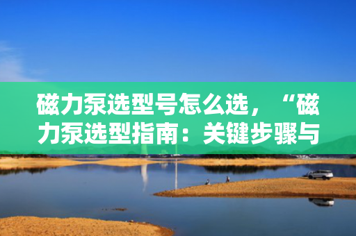 磁力泵选型号怎么选，“磁力泵选型指南：关键步骤与要点解析”