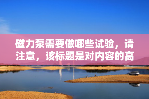磁力泵需要做哪些试验，请注意，该标题是对内容的高度概括，具体试验项目和内容可能需要参考相关标准和磁力泵的实际使用要求。