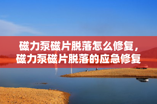 磁力泵磁片脱落怎么修复，磁力泵磁片脱落的应急修复方法
