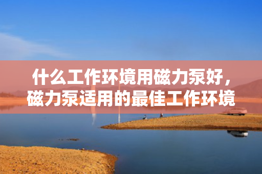 什么工作环境用磁力泵好，磁力泵适用的最佳工作环境选择指南