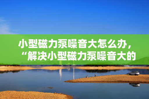 小型磁力泵噪音大怎么办，“解决小型磁力泵噪音大的有效方法”