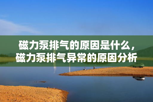 磁力泵排气的原因是什么，磁力泵排气异常的原因分析