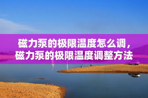 磁力泵的极限温度怎么调，磁力泵的极限温度调整方法简述