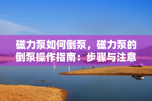 磁力泵如何倒泵，磁力泵的倒泵操作指南：步骤与注意事项一览
