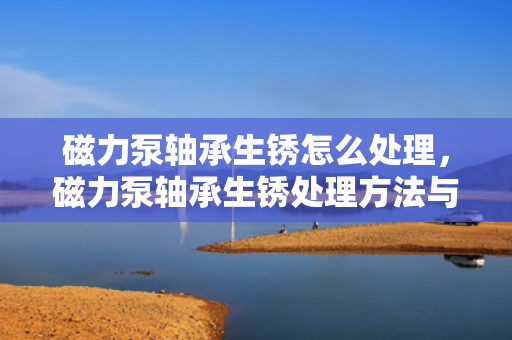 磁力泵轴承生锈怎么处理，磁力泵轴承生锈处理方法与技巧