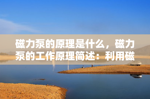 磁力泵的原理是什么，磁力泵的工作原理简述：利用磁力驱动实现无泄漏传输