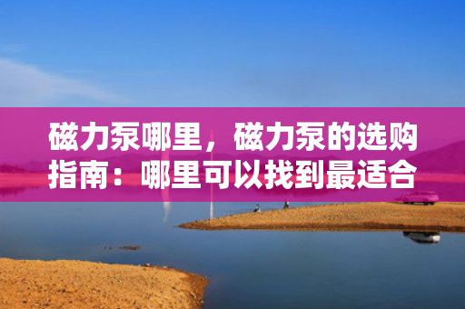 磁力泵哪里，磁力泵的选购指南：哪里可以找到最适合您的磁力泵？