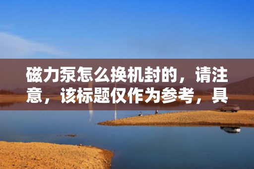 磁力泵怎么换机封的，请注意，该标题仅作为参考，具体使用时还需要结合实际情况进行适当调整。