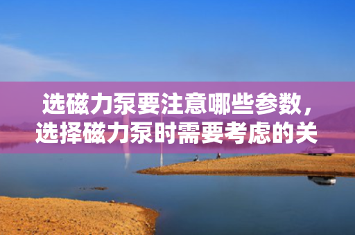 选磁力泵要注意哪些参数，选择磁力泵时需要考虑的关键参数一览