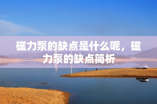 磁力泵的缺点是什么呢，磁力泵的缺点简析