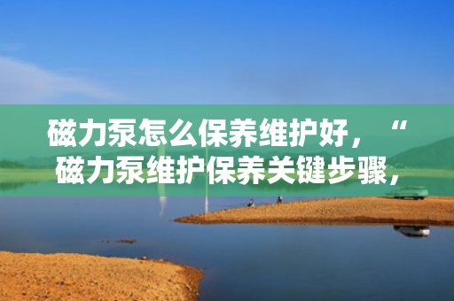 磁力泵怎么保养维护好，“磁力泵维护保养关键步骤，确保设备高效稳定运行”