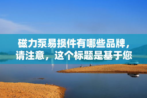 磁力泵易损件有哪些品牌，请注意，这个标题是基于您提供的内容生成的，但实际内容中并没有提及具体的磁力泵易损件品牌。如果需要列出具体的品牌，可能需要进一步的研究或提供更多的信息。