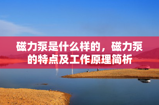 磁力泵是什么样的，磁力泵的特点及工作原理简析