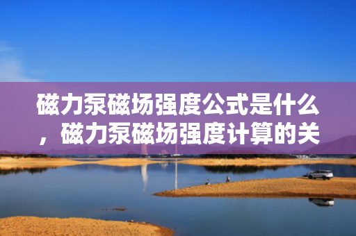 磁力泵磁场强度公式是什么，磁力泵磁场强度计算的关键公式及其应用解析