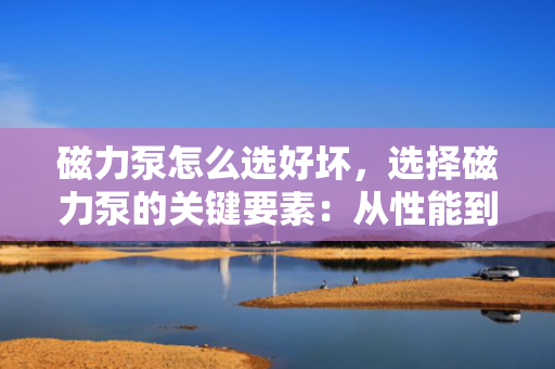磁力泵怎么选好坏，选择磁力泵的关键要素：从性能到质量的全面评估指南