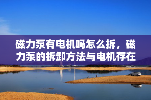 磁力泵有电机吗怎么拆，磁力泵的拆卸方法与电机存在性探究