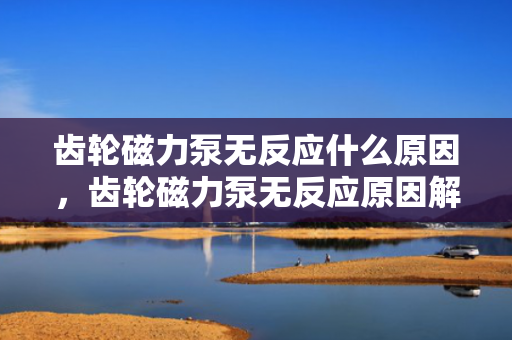 齿轮磁力泵无反应什么原因，齿轮磁力泵无反应原因解析：故障排查与解决方案