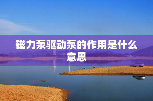 磁力泵驱动泵的作用是什么意思
