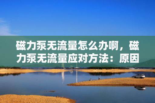 磁力泵无流量怎么办啊，磁力泵无流量应对方法：原因分析与解决方案