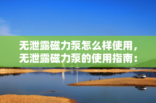 无泄露磁力泵怎么样使用，无泄露磁力泵的使用指南：安全、高效、无忧的操作方法