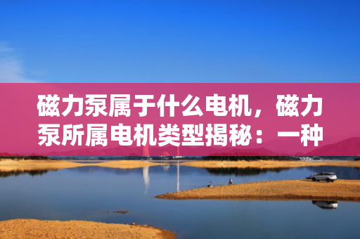 磁力泵属于什么电机，磁力泵所属电机类型揭秘：一种无需机械密封的特殊电机