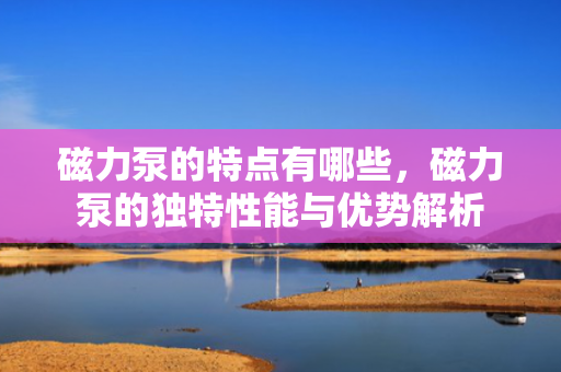 磁力泵的特点有哪些，磁力泵的独特性能与优势解析