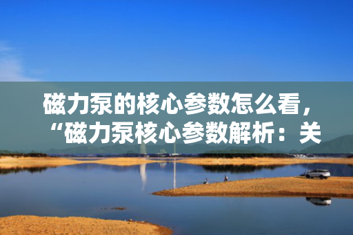 磁力泵的核心参数怎么看，“磁力泵核心参数解析：关键指标一网打尽”