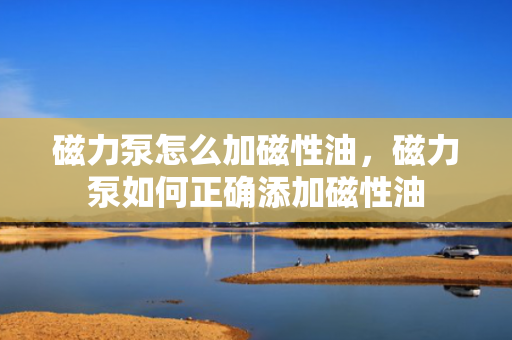 磁力泵怎么加磁性油，磁力泵如何正确添加磁性油