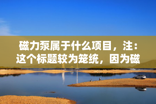 磁力泵属于什么项目，注：这个标题较为笼统，因为磁力泵可以应用于多个不同的项目和行业中。如果需要更具体的标题，可能需要提供更多关于磁力泵使用场景或项目类型的信息。但基于您给出的内容限制，以上是一个可能的标题。