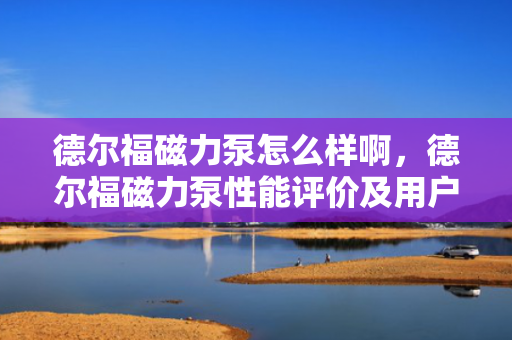 德尔福磁力泵怎么样啊，德尔福磁力泵性能评价及用户反馈概览