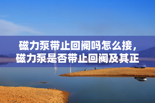 磁力泵带止回阀吗怎么接，磁力泵是否带止回阀及其正确接法解析
