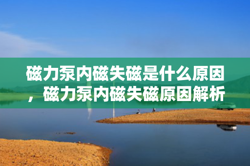 磁力泵内磁失磁是什么原因，磁力泵内磁失磁原因解析