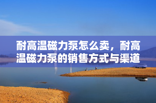 耐高温磁力泵怎么卖，耐高温磁力泵的销售方式与渠道解析