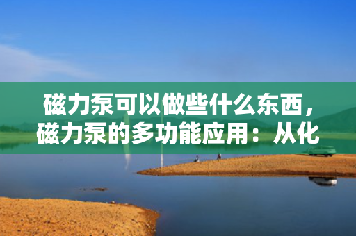 磁力泵可以做些什么东西，磁力泵的多功能应用：从化工到医药行业的流体处理解决方案