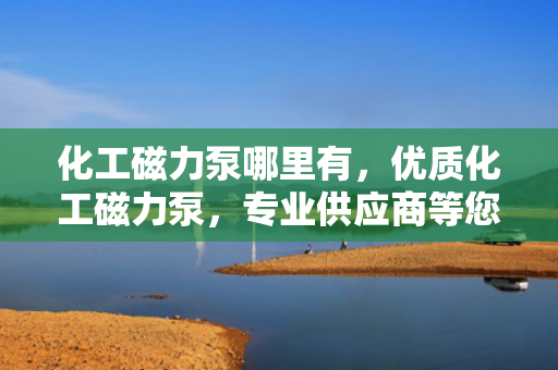 化工磁力泵哪里有，优质化工磁力泵，专业供应商等您来选