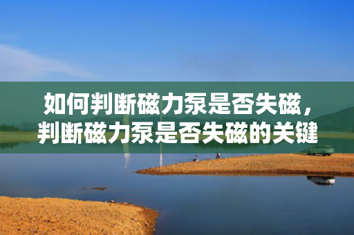 如何判断磁力泵是否失磁，判断磁力泵是否失磁的关键方法与步骤