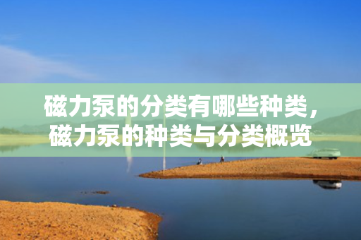 磁力泵的分类有哪些种类，磁力泵的种类与分类概览