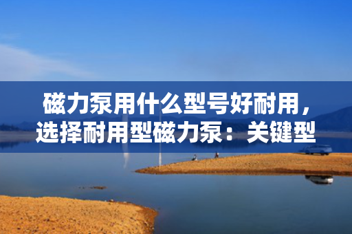 磁力泵用什么型号好耐用，选择耐用型磁力泵：关键型号指南与推荐