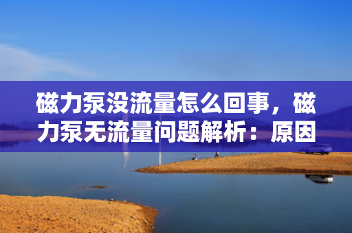 磁力泵没流量怎么回事，磁力泵无流量问题解析：原因及解决方案