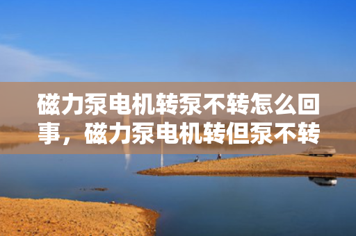 磁力泵电机转泵不转怎么回事，磁力泵电机转但泵不转的原因及解决方法