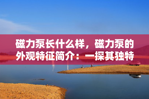 磁力泵长什么样，磁力泵的外观特征简介：一探其独特设计与结构