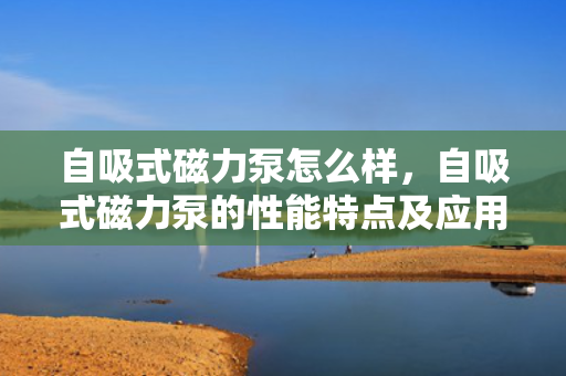 自吸式磁力泵怎么样，自吸式磁力泵的性能特点及应用优势解析