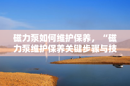 磁力泵如何维护保养，“磁力泵维护保养关键步骤与技巧”