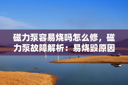 磁力泵容易烧吗怎么修，磁力泵故障解析：易烧毁原因及维修方法