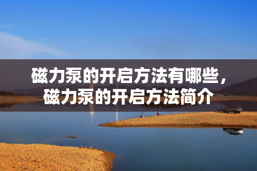 磁力泵的开启方法有哪些，磁力泵的开启方法简介