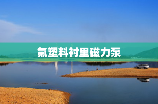 氟塑料衬里磁力泵