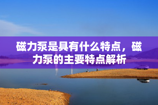 磁力泵是具有什么特点，磁力泵的主要特点解析